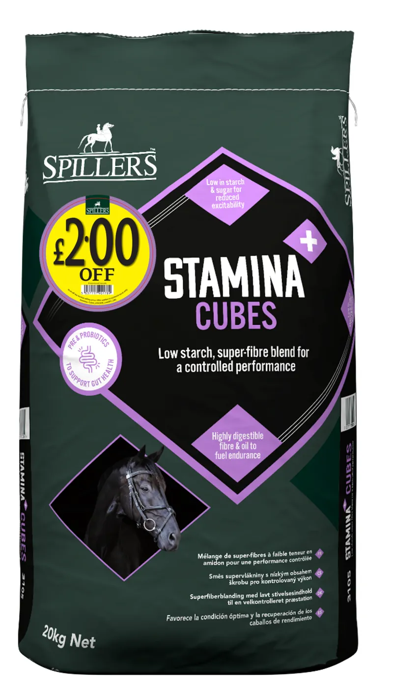 Spillers Stamina Cubes 20kg